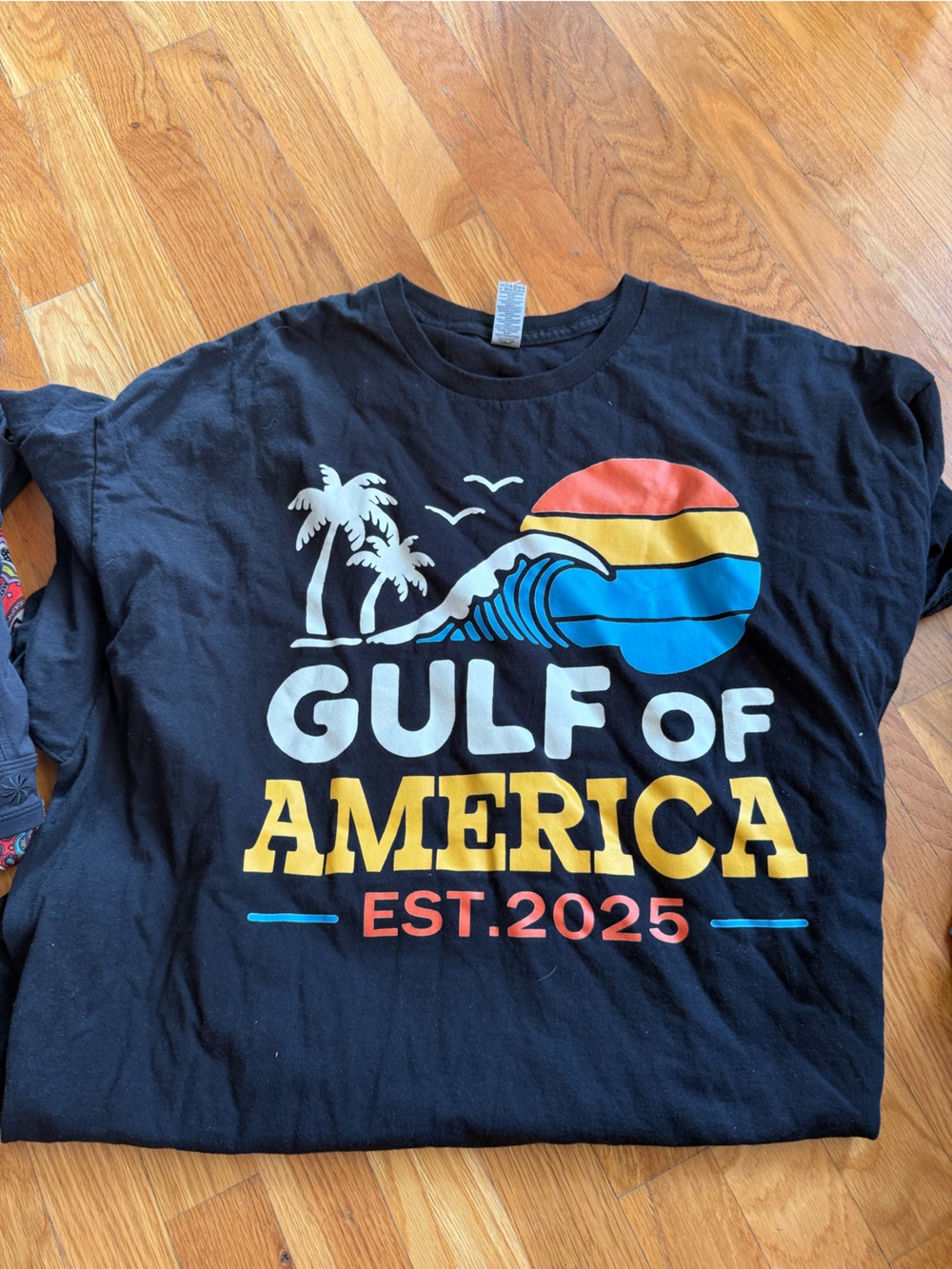 Gildan Black Graphic Tee Gulf of America with Sunset Colors